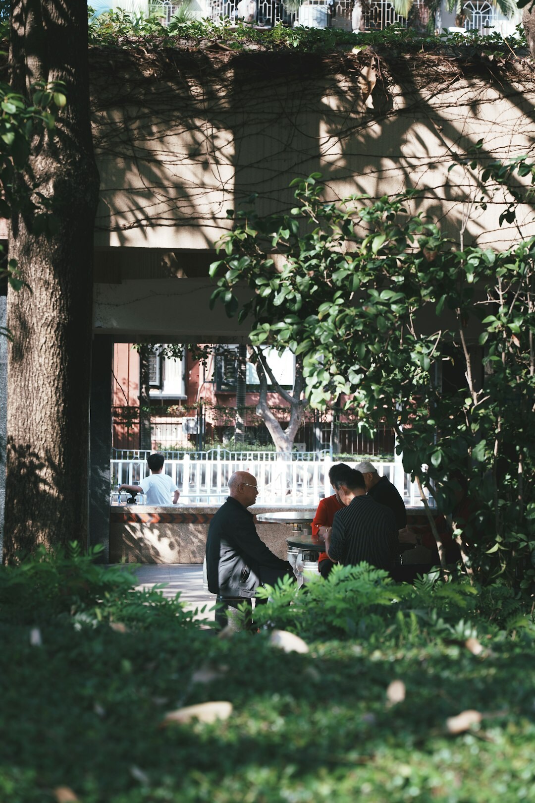Small group of friends having an animated conversation outdoors